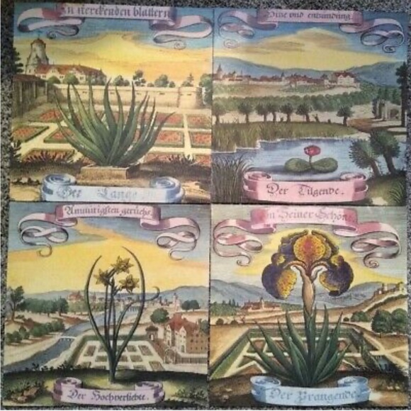 Natural Curiosities Images For the Inquisitive Box Mane Ortus Intentio Volume 9 - Picture 3 of 6